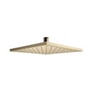Kohler Single Flow Overhead Shower Rain Duet 18361IN-CL-AF - French Gold